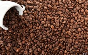 Caffè a rischio: nel 2050 ne berremo la metà, colpa del clima