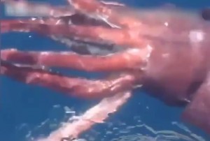 pescatori russi riprendono calamaro gigante vicino alla loro barca