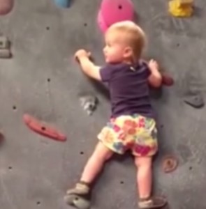  Ellie, 20 mesi, già sale sulla parete d'arrampicata alta 2 metri