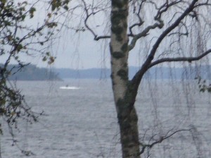 Svezia, trovato relitto di minisub russo: forse vittime a bordo