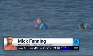 VIDEO YouTube - Mick Fanning attaccato da squalo: lui lo prende a pugni