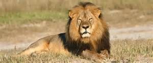 Cecil il leone