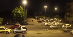 VIDEO YouTube - Roma, cinghiali a Monte Mario nel parcheggio