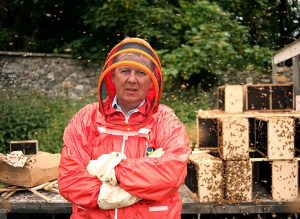 Lascia la Bbc tv per curare le api. Succede a Londra dove...