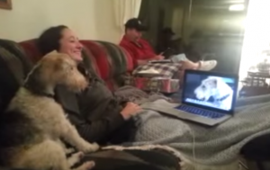cane "parla" su Skype con i suoi simili