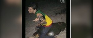 Foto mentre cavalca tartaruga messa su Facebook: arrestata