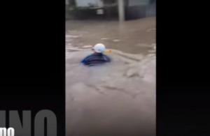 VIDEO YouTube - Siracusa, vie come fiumi: c'è Gino il sub