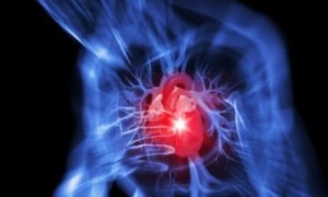 Scoperta proteina che rigenera il cuore dopo infarto