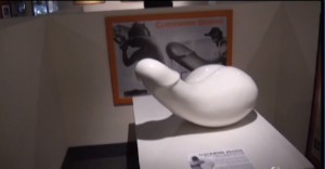 Museo arte erotica Miami: peni giganti, centauri sexy