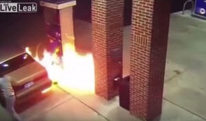 Video YouTube: brucia ragno con accendino a pompa benzina...