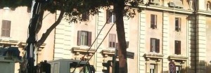Roma Alberone: nemmeno un alberello Comune riesce a piantare