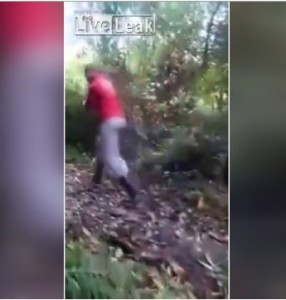 Attacco del giaguaro nella foresta ma...è uno scherzo VIDEO