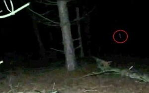 VIDEO YOUTUBE - Fantasma nel bosco?