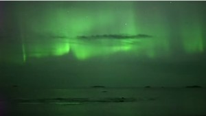  Le megattere nuotano sotto aurora boreale