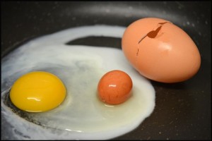 Uovo con altro uovo dentro 