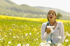 Allergie anche d'autunno: caldo anomalo risveglia pollini