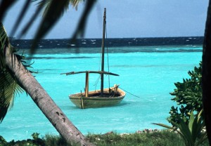 Vacanze alle Maldive? Evitate, c'è stato di emergenza