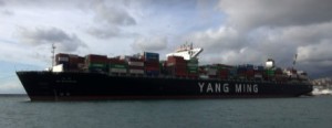 A Genova la YM Wondrous, nave da 14mila container