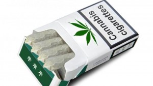 Cannabis legale? 50mila€ per un punto vendita: 600 richieste