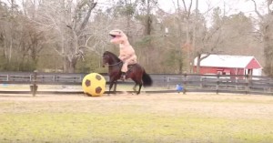 Tirannosauro a cavallo: VIDEO demenziale2