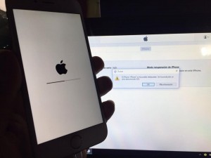 Errore 53, Apple lo risolve: basterà aggiornare l'iPhone 6