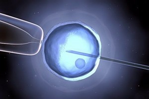 Embrioni umani modificati geneticamente: 'rivoluzione' in Gb