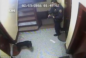 Poliziotto spara cane che scodinzola a New York 2