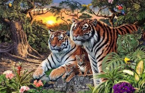 Trova le tigre nella FOTO