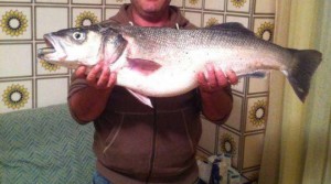 Venezia, a 73 anni pesca branzino da 11 kg a mani nude