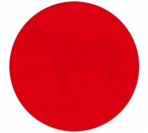 Guarda cerchio rosso, cosa vedi? Gioca con illusione ottica