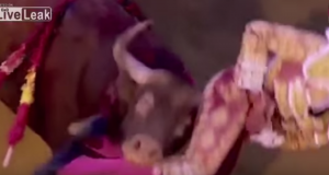 Video YouTube - Toro incorna torero nel sedere