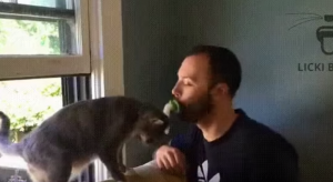 YOUTUBE Come leccare il tuo gatto senza riempirti di peli