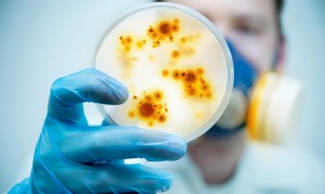 Super batteri resistenti agli antibiotici: allarme a Genova