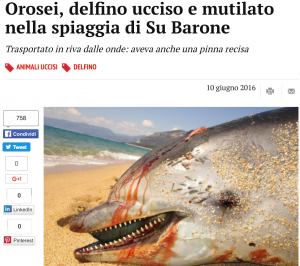 Orosei, delfino ucciso e mutilato sulla spiaggia 