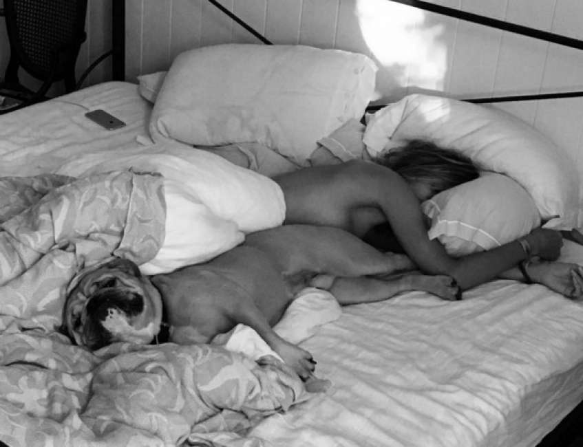 Heidi Klum a letto con il cane. E i fan impazziscono