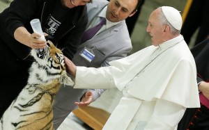 Papa Francesco accarezza una tigre dei circensi FOTO