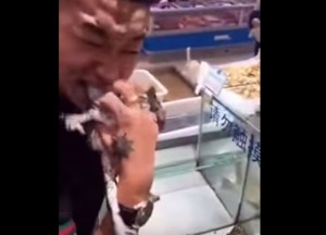 YOUTUBE Mangia una rana viva al supermercato. VIDEO CHOC