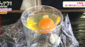 YOUTUBE Uovo in una tazza: così fanno nascere un pulcino