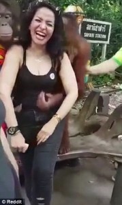 Orango palpa turista allo zoo di Bangkok666