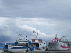 Adriatico, stop pesca: fermo biologico dal 16 agosto al 26 settembre