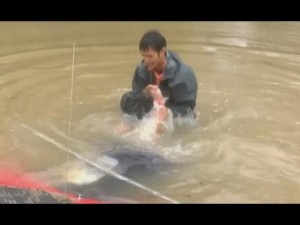 Louisiana, salva donna e cane da auto che affonda14