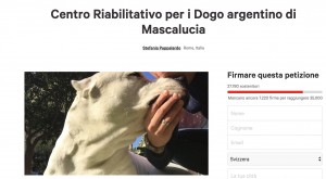 Bimbo sbranato dai cani, petizione su Change.org: "Sono docili, non uccideteli"