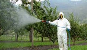 Pesticidi: la terbutilazina ha invaso le acque del bacino del Po