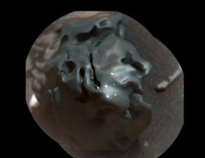 Rover Curiosity su Marte trova meteorite di ferro FOTO