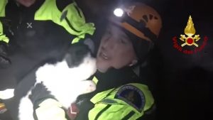 YOUTUBE Rigopiano, video del momento in cui i vigili del fuoco salvano i cuccioli di Nuvola e Lupo