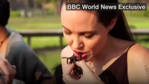 Angelina Jolie "fa mangiare i ragni ai figli": Brad Pitt chiede l'affidamento