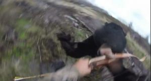 YOUTUBE Orso carica e attacca il cacciatore: la ripresa in soggettiva 