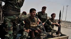 Combattenti curdi