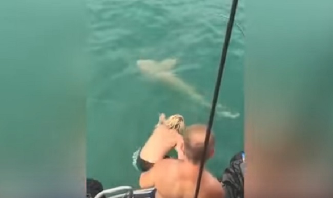 YOUTUBE Uomo prova a lottare a mani nude con uno squalo: finisce malissimo