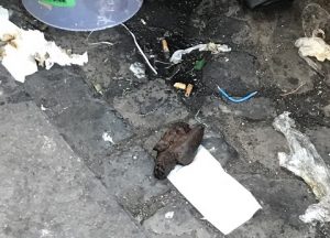 Roma Prati: escremento umano in mezzo ai rifiuti, davanti supermercato e... Cassazione FOTO